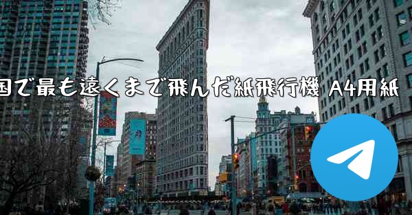 中国で最も遠くまで飛んだ紙飛行機 A4用紙