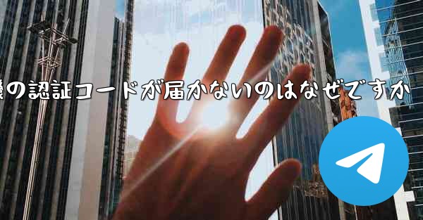 紙飛行機の認証コードが届かないのはなぜですか