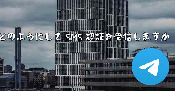 Paper Plane はどのようにして SMS 認証を受信しますか