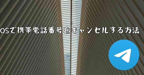 Paper Plane iOSで携帯電話番号をキャンセルする方法