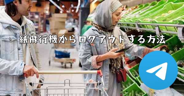 紙飛行機からログアウトする方法