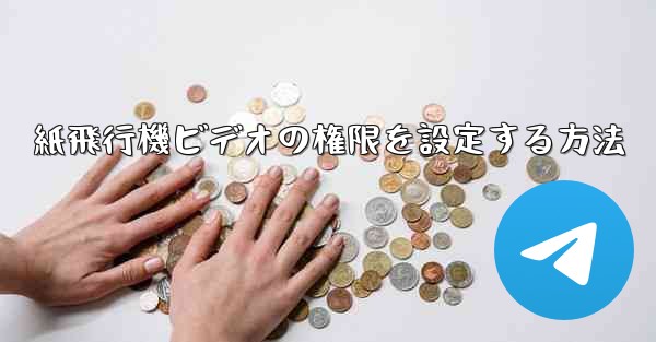 紙飛行機ビデオの権限を設定する方法