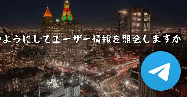 Paper Plane はどのようにしてユーザー情報を照会しますか