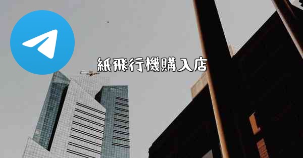 紙飛行機購入店