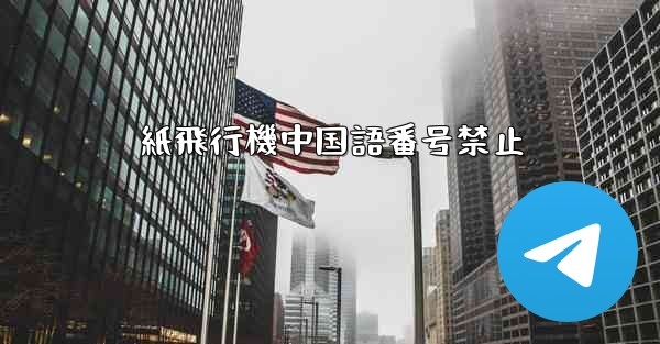 紙飛行機中国語番号禁止