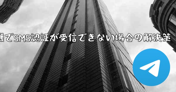 紙飛行機でSMS認証が受信できない場合の解決策