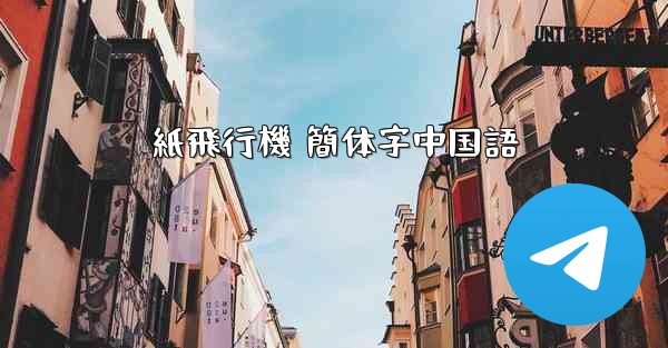 紙飛行機 簡体字中国語