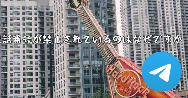 Paper Plane の携帯電話番号が禁止されているのはなぜですか