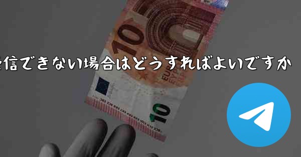 Paper Plane で SMS 認証コードを受信できない場合はどうすればよいですか