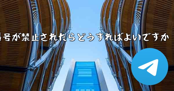 私の紙飛行機の携帯電話番号が禁止されたらどうすればよいですか