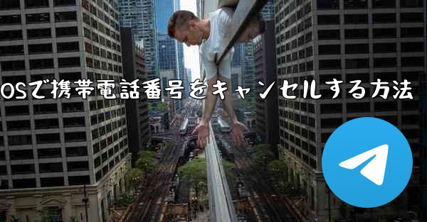 Paper Plane iOSで携帯電話番号をキャンセルする方法