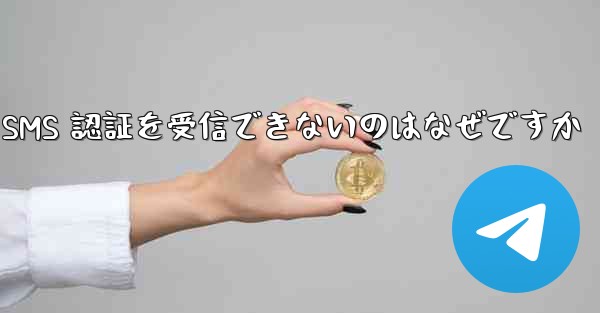 Paper Plane が SMS 認証を受信できないのはなぜですか