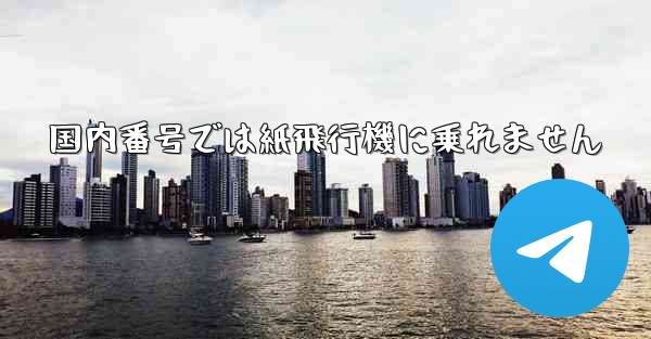 国内番号では紙飛行機に乗れません