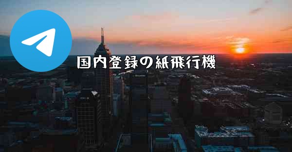 国内登録の紙飛行機