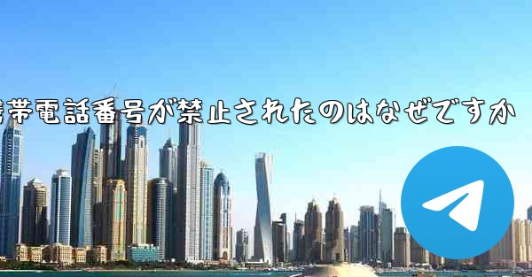 Paper Plane の携帯電話番号が禁止されたのはなぜですか