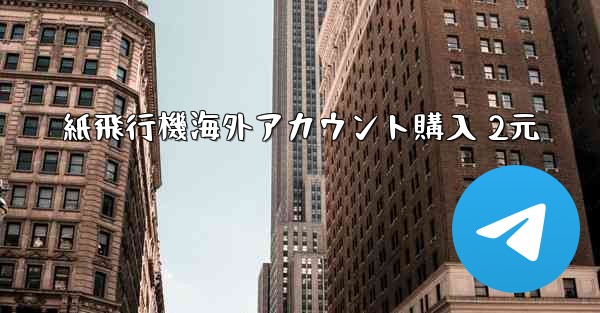 紙飛行機海外アカウント購入 2元