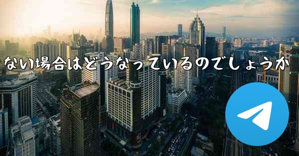 Paper Plane が SMS 認証コードを受信できない場合はどうなっているのでしょうか