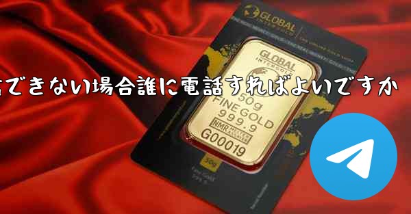 Paper Plane が確認テキスト メッセージを受信できない場合誰に電話すればよいですか