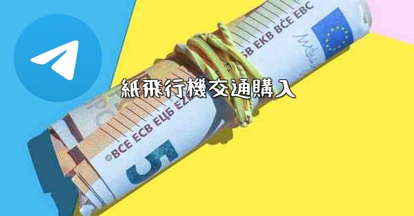 紙飛行機交通購入