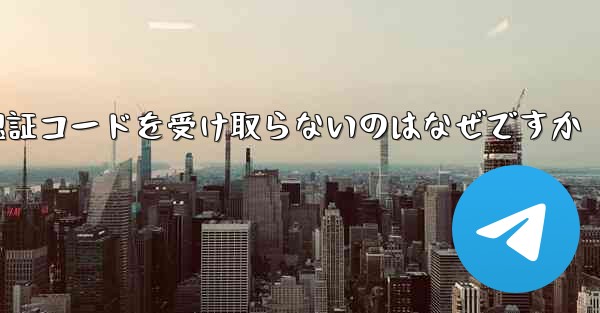 Paper Plane が認証コードを受け取らないのはなぜですか