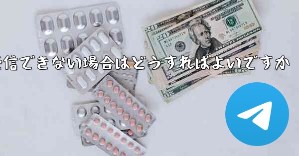 Paper Plane で SMS 認証コードを受信できない場合はどうすればよいですか