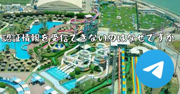 Paper Plane が SMS 認証情報を受信できないのはなぜですか
