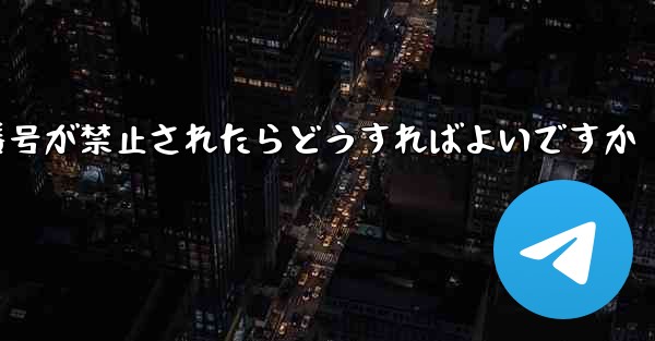 私の紙飛行機の携帯電話番号が禁止されたらどうすればよいですか