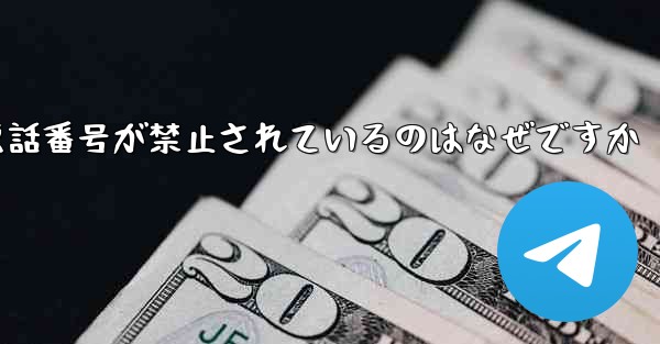 Paper Plane の携帯電話番号が禁止されているのはなぜですか