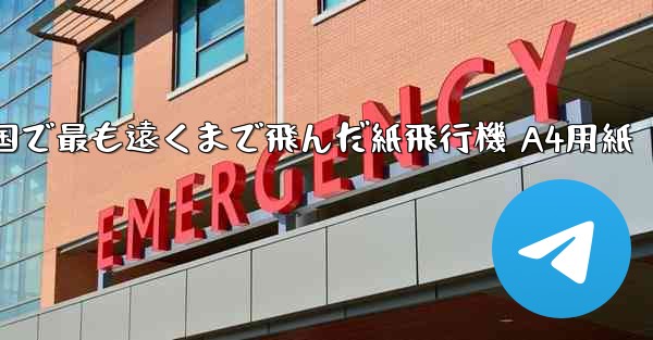 中国で最も遠くまで飛んだ紙飛行機 A4用紙