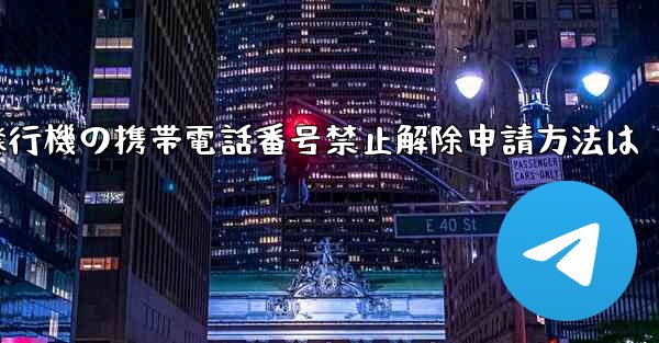紙飛行機の携帯電話番号禁止解除申請方法は