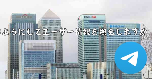 Paper Plane はどのようにしてユーザー情報を照会しますか