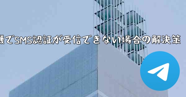 紙飛行機でSMS認証が受信できない場合の解決策