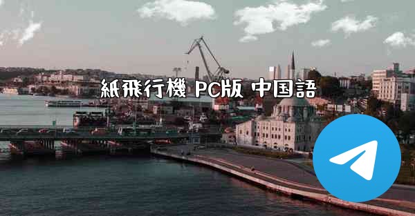 紙飛行機 PC版 中国語