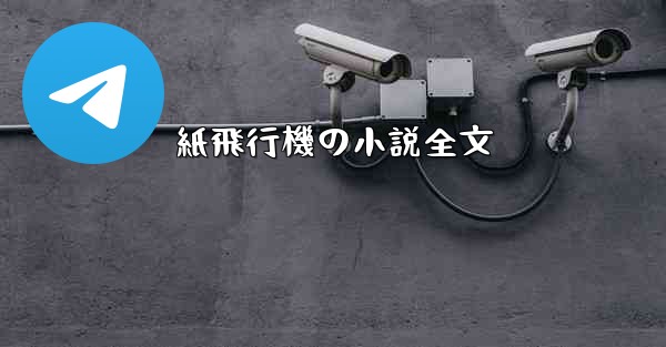 紙飛行機の小説全文