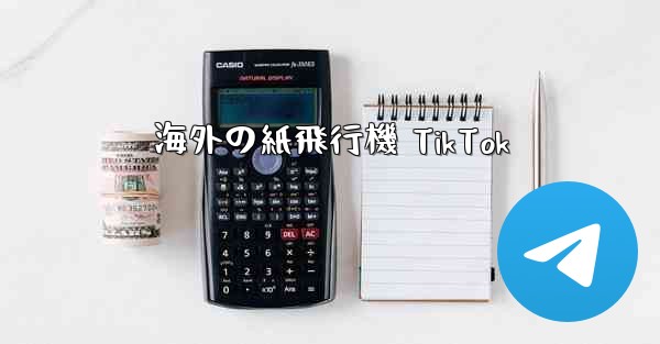 海外の紙飛行機 TikTok