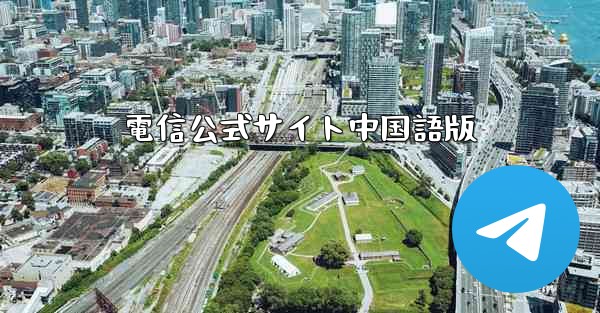 電信公式サイト中国語版