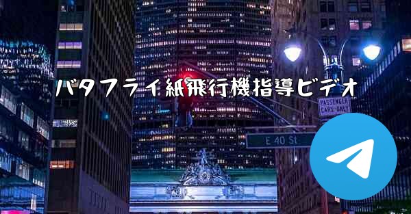 バタフライ紙飛行機指導ビデオ