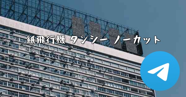 紙飛行機 タンシー ノーカット