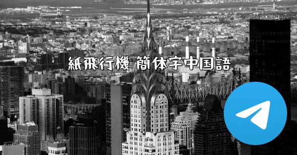 紙飛行機 簡体字中国語