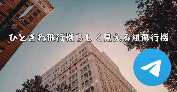 ひときわ飛行機らしく見える紙飛行機