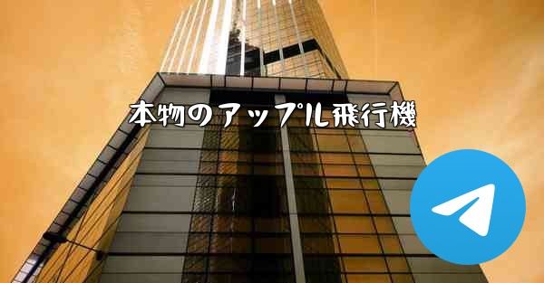 本物のアップル飛行機