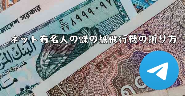 ネット有名人の蝶の紙飛行機の折り方