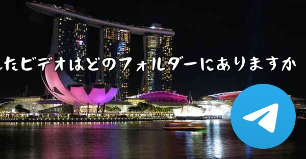 Paper Plane でキャッシュされたビデオはどのフォルダーにありますか