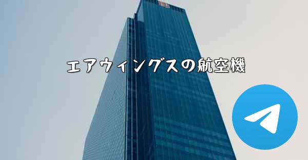 エアウィングスの航空機