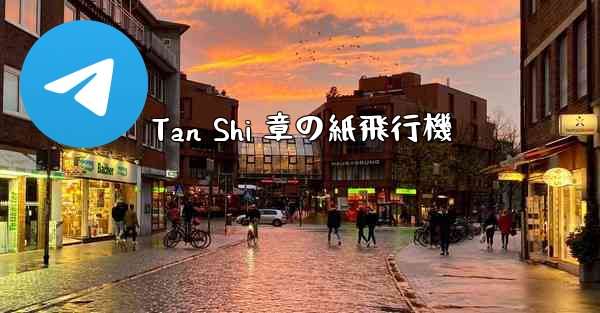 Tan Shi 章の紙飛行機