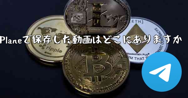 Paper Planeで保存した動画はどこにありますか