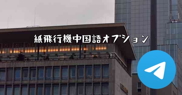 紙飛行機中国語オプション