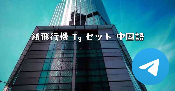 紙飛行機 Tg セット 中国語