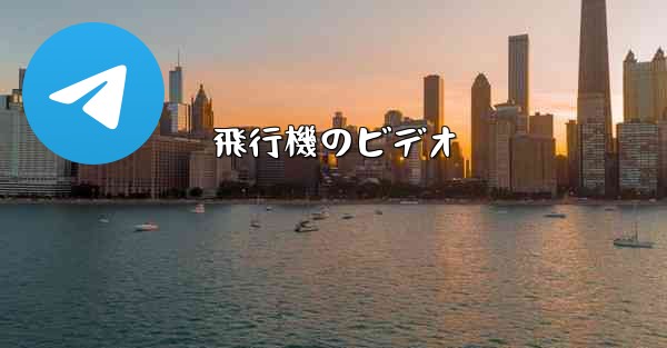 飛行機のビデオ