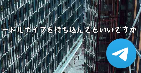 飛行機にヌードルナイフを持ち込んでもいいですか